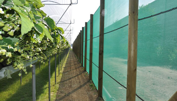 tree shade cloth tree shade cloth