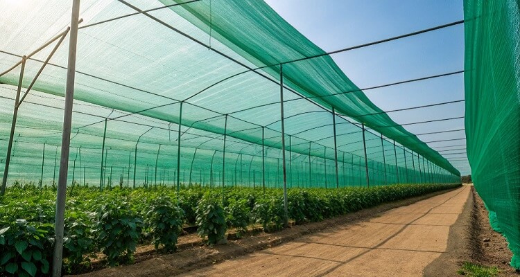 does shade net work
